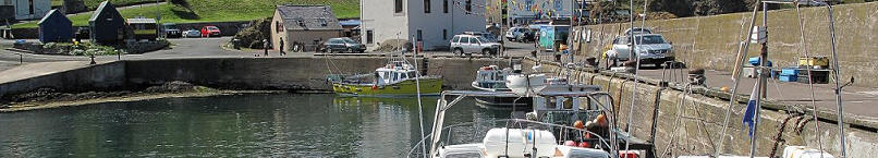 St Abbs Harbour
