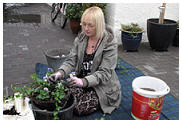 preparing winter hanging baskets in style