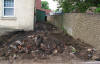 Starry Towers Garden Job end of Day 1