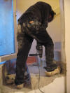 Starry Towers The Fiance drilling stairs