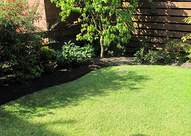 Starry Towers lawn