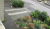Starry Towers front garden ready for rejuvination