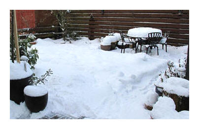 snowy back garden