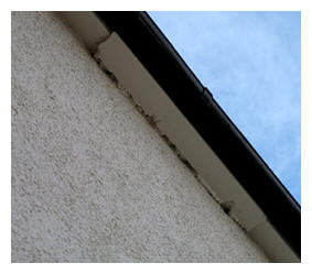 winter weather damage